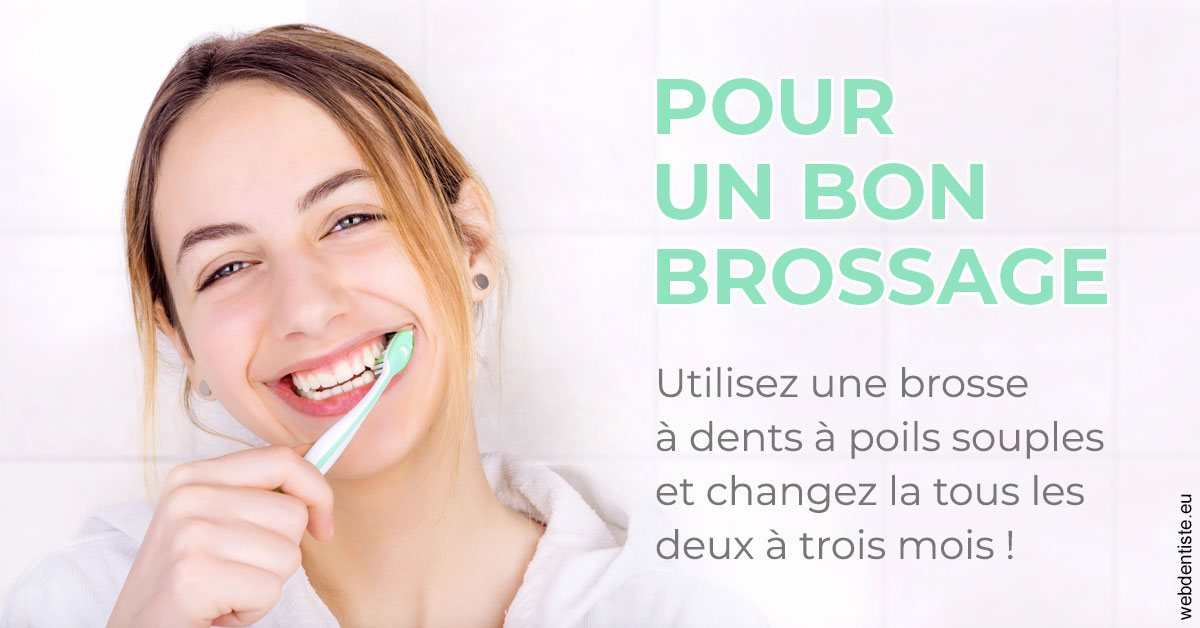 https://www.dr-alain-siegwart-dentiste.fr/Pour un bon brossage 2