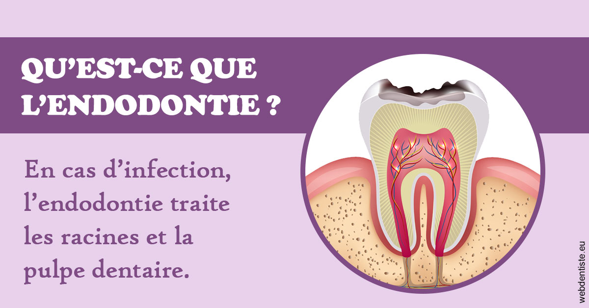 https://www.dr-alain-siegwart-dentiste.fr/2024 T1 - Endodontie 02