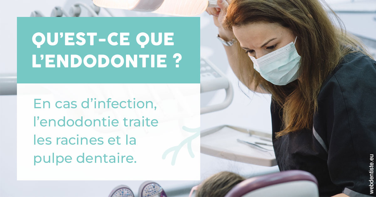 https://www.dr-alain-siegwart-dentiste.fr/2024 T1 - Endodontie 01