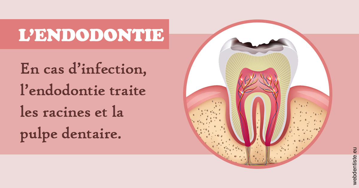 https://www.dr-alain-siegwart-dentiste.fr/L'endodontie 2